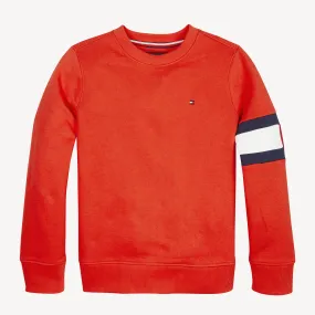 Boys 3-7 Flag Sleeve Sweatshirt | Hoodies | Tommy Hilfiger