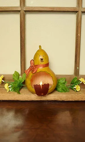 Chester Chick Gourd - Available in Multiple Sizes and Colors