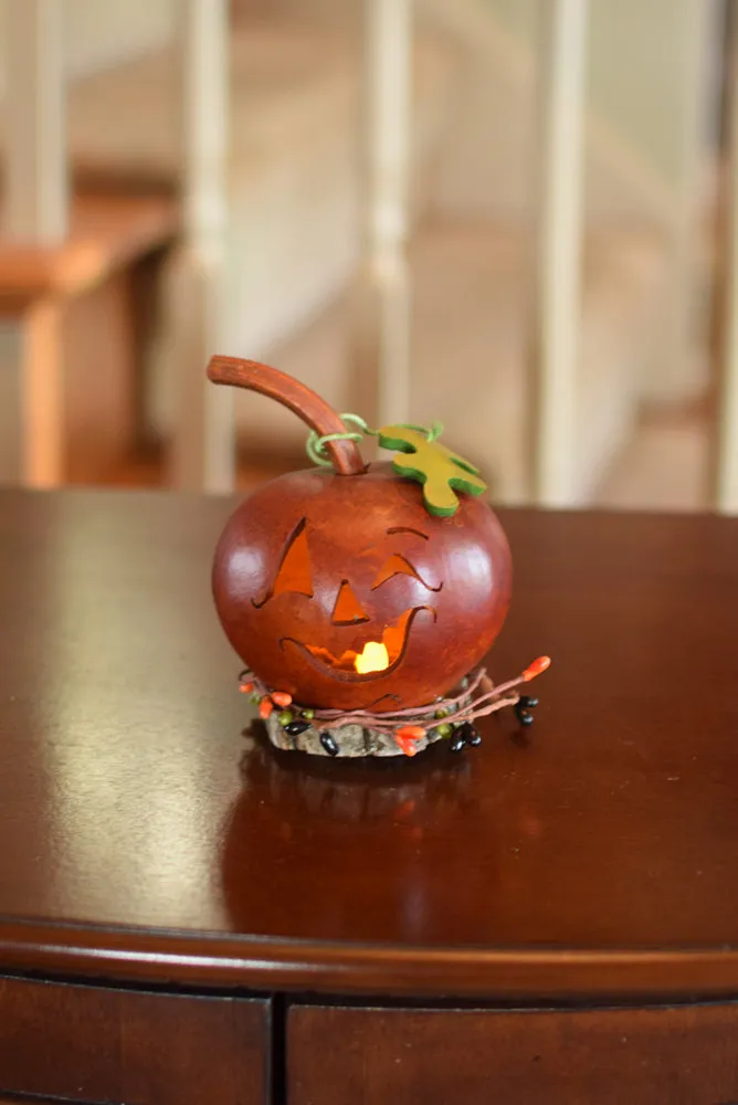 Freddy the Pumpkin Gourd - Available in Multiple Sizes