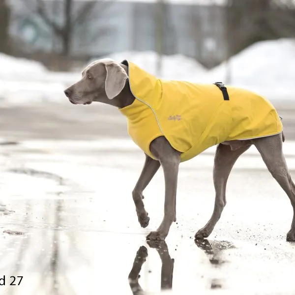 Harbour Slicker - Duckling Yellow