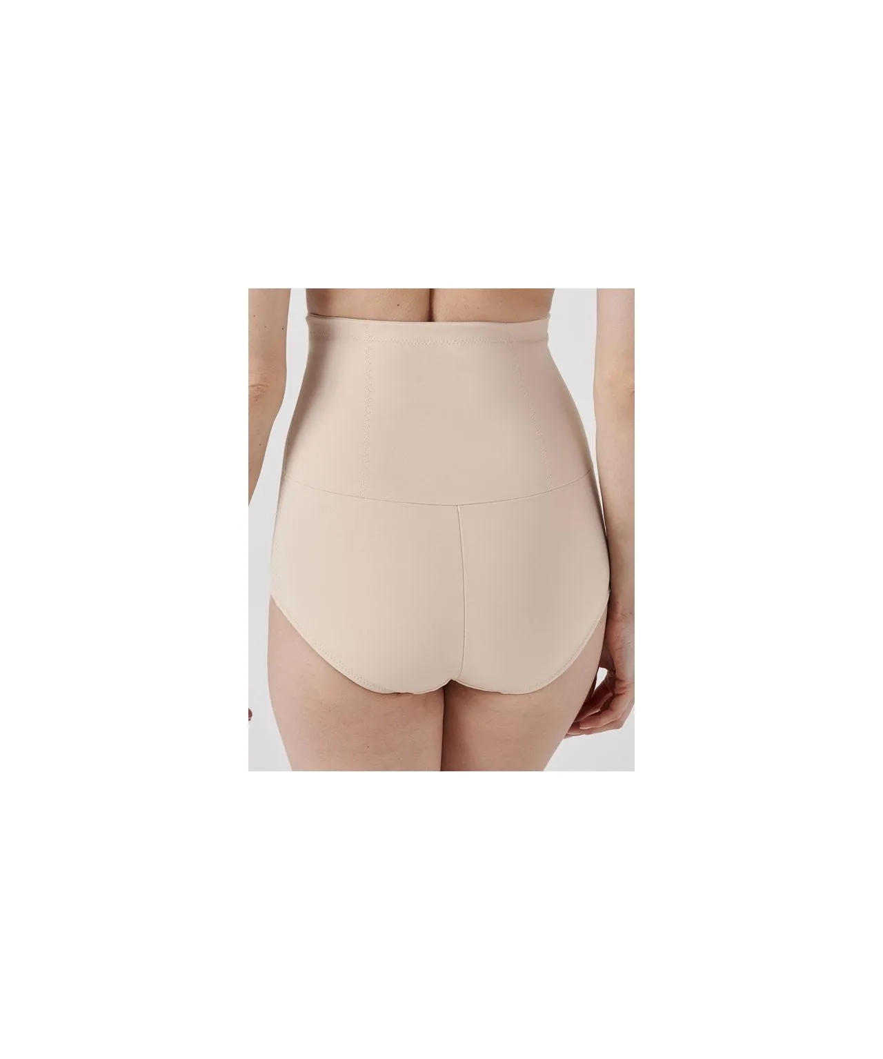 High Waist Sculpting Briefs