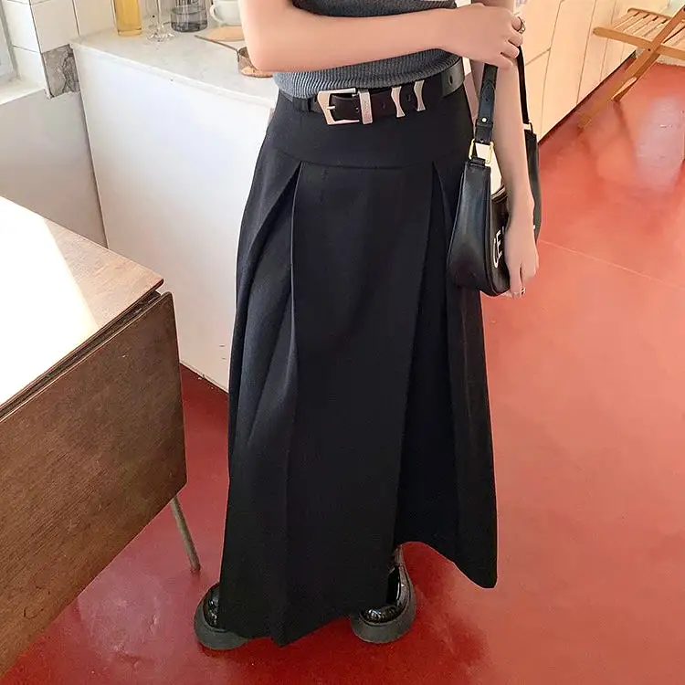 Long Pleated Skirt