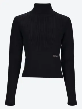 Signature rib turtleneck sweater